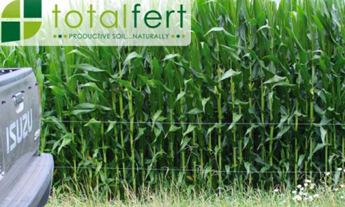 Total Fert corn image