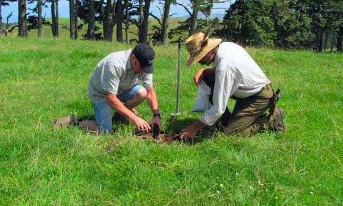 Farmers taking soil sample for Total Fert