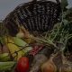 basket of organically grown vegetables